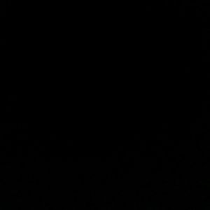 Meet your Posher, Sanai